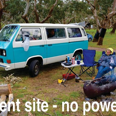 Bimbi Park - Camping Under Koalas Cape Otway Kültér fotó