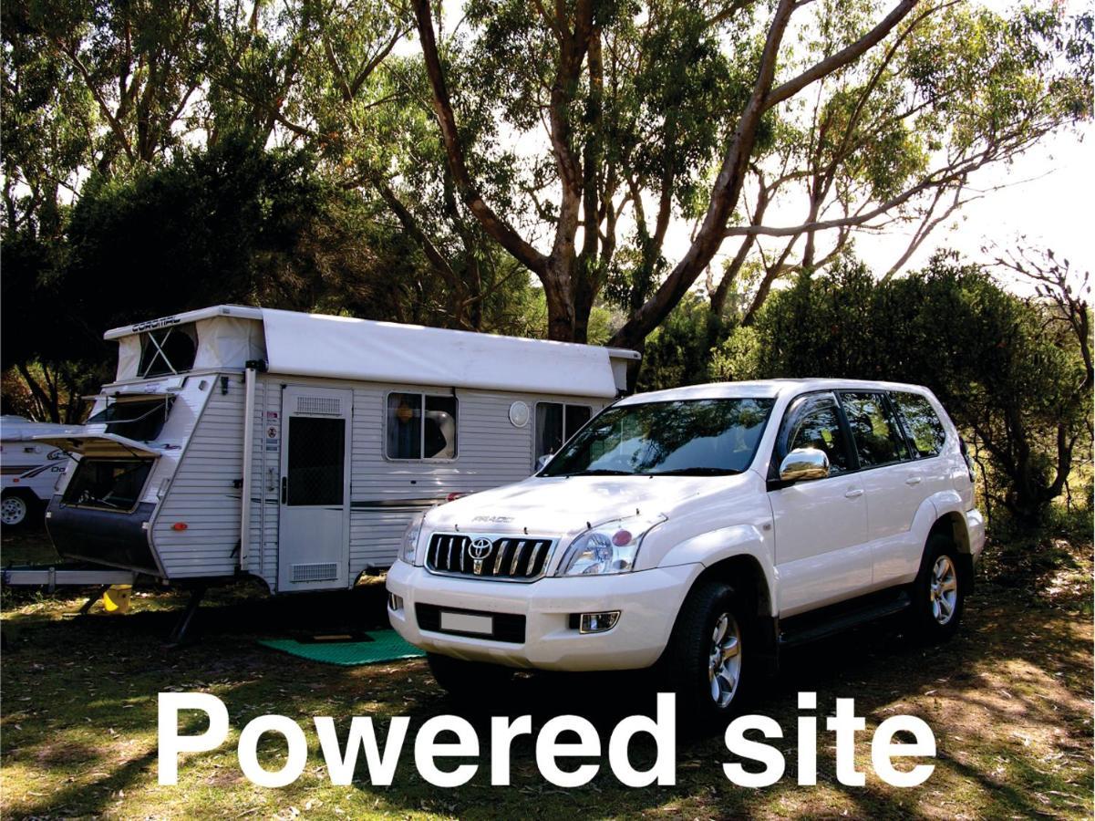 Bimbi Park - Camping Under Koalas Cape Otway Kültér fotó