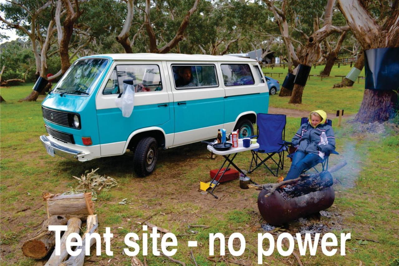 Bimbi Park - Camping Under Koalas Cape Otway Kültér fotó