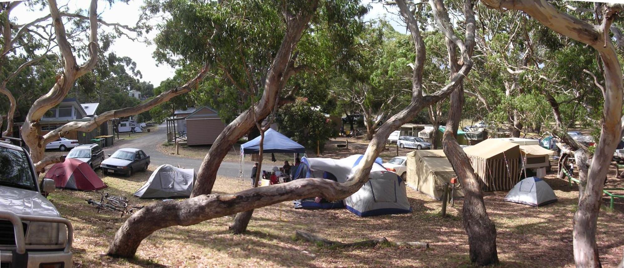 Bimbi Park - Camping Under Koalas Cape Otway Kültér fotó