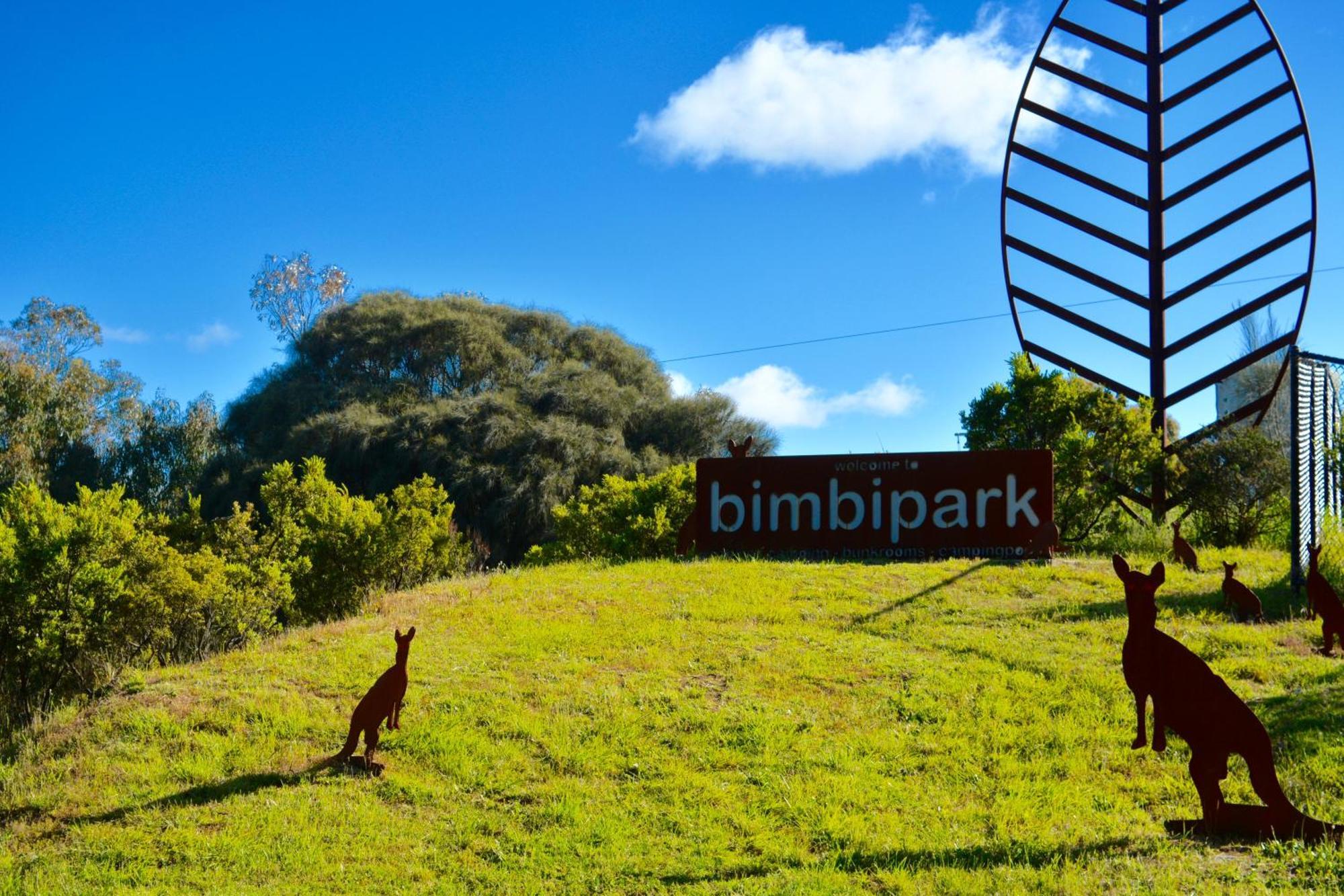 Bimbi Park - Camping Under Koalas Cape Otway Kültér fotó