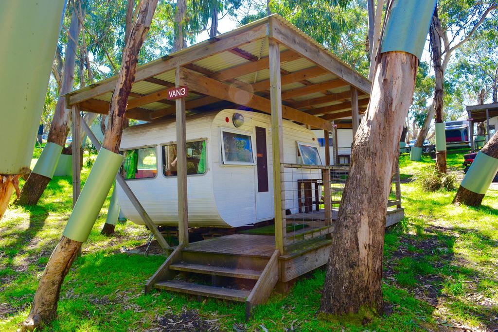 Bimbi Park - Camping Under Koalas Cape Otway Kültér fotó