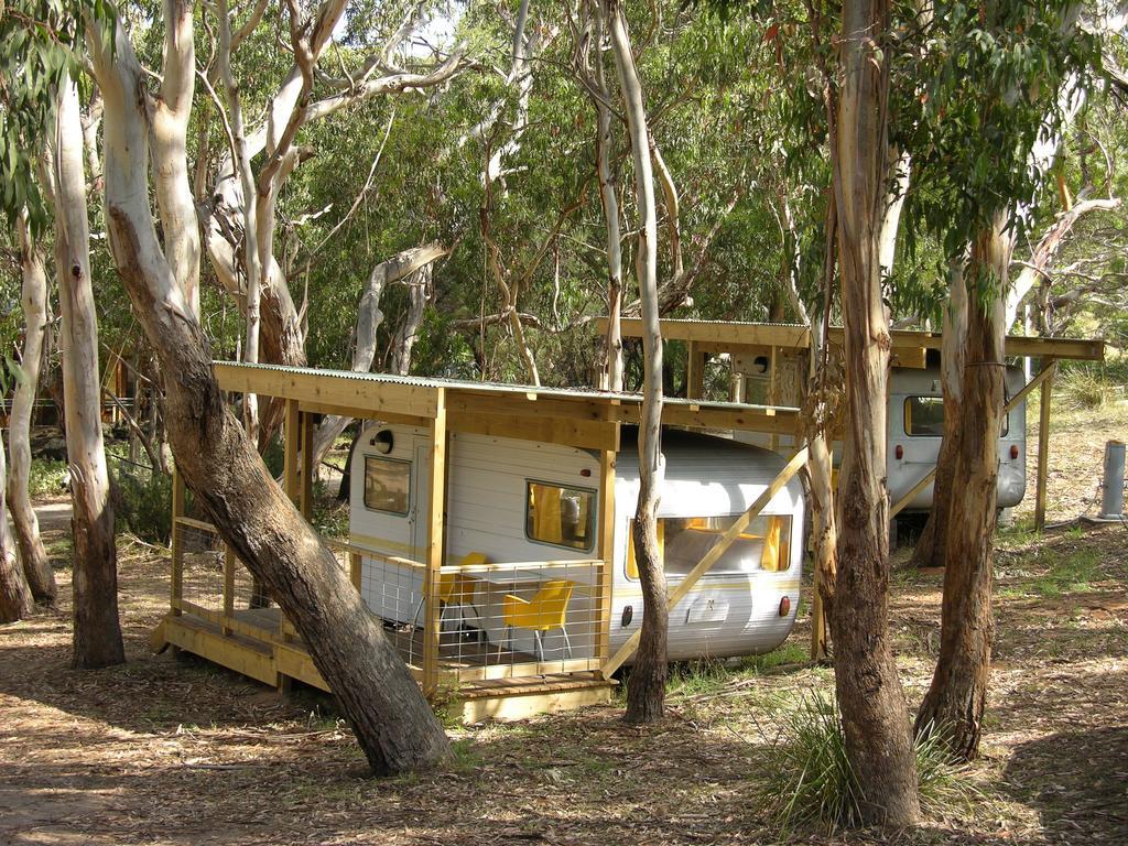 Bimbi Park - Camping Under Koalas Cape Otway Kültér fotó