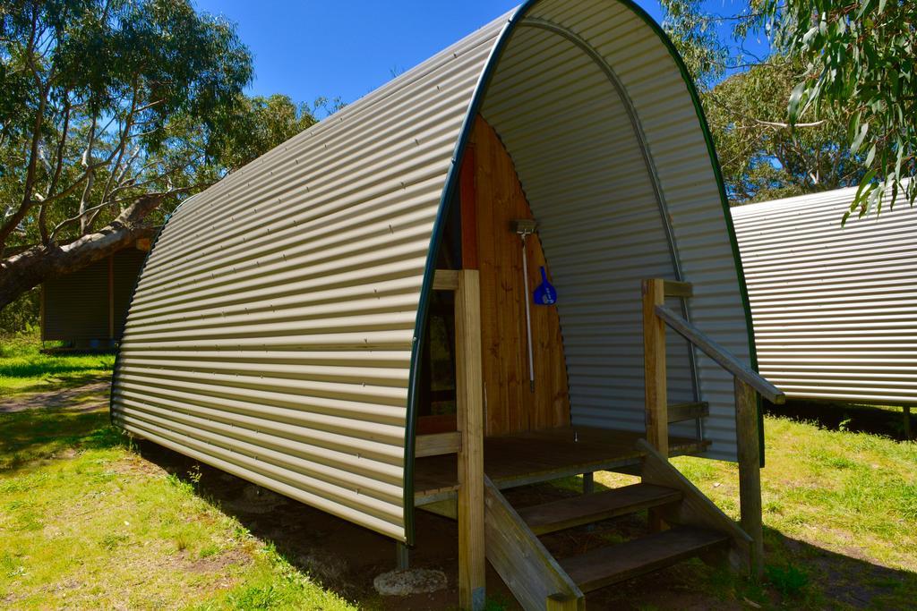 Bimbi Park - Camping Under Koalas Cape Otway Kültér fotó