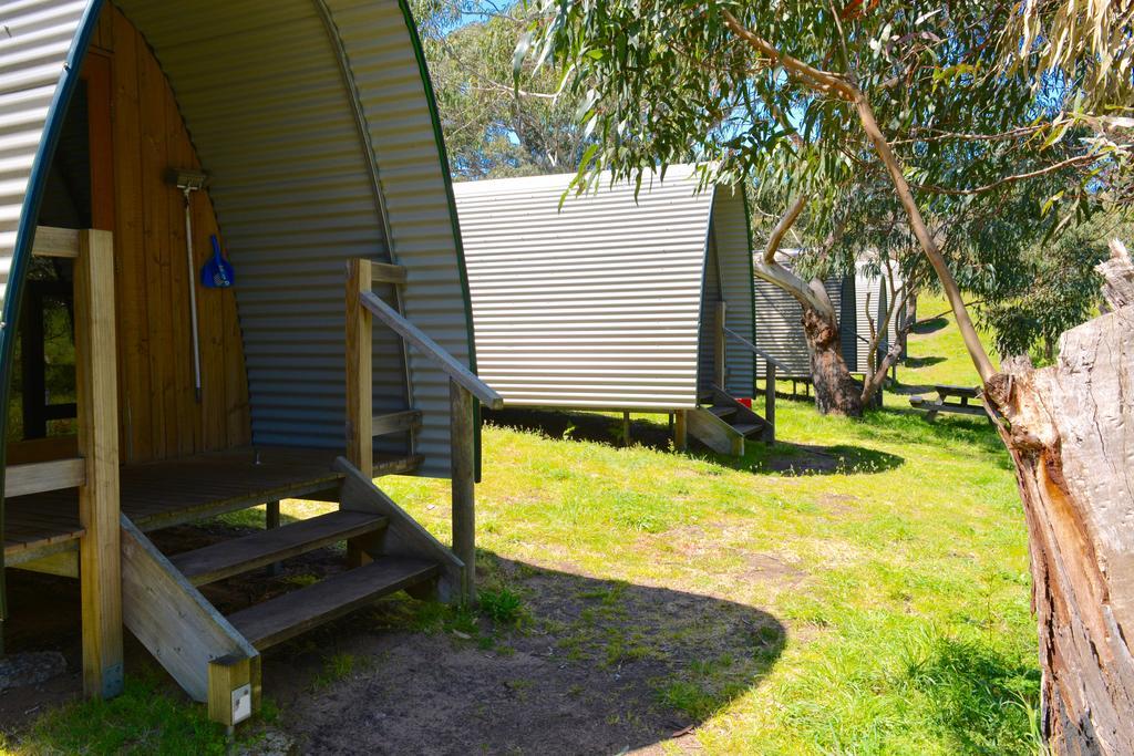 Bimbi Park - Camping Under Koalas Cape Otway Kültér fotó