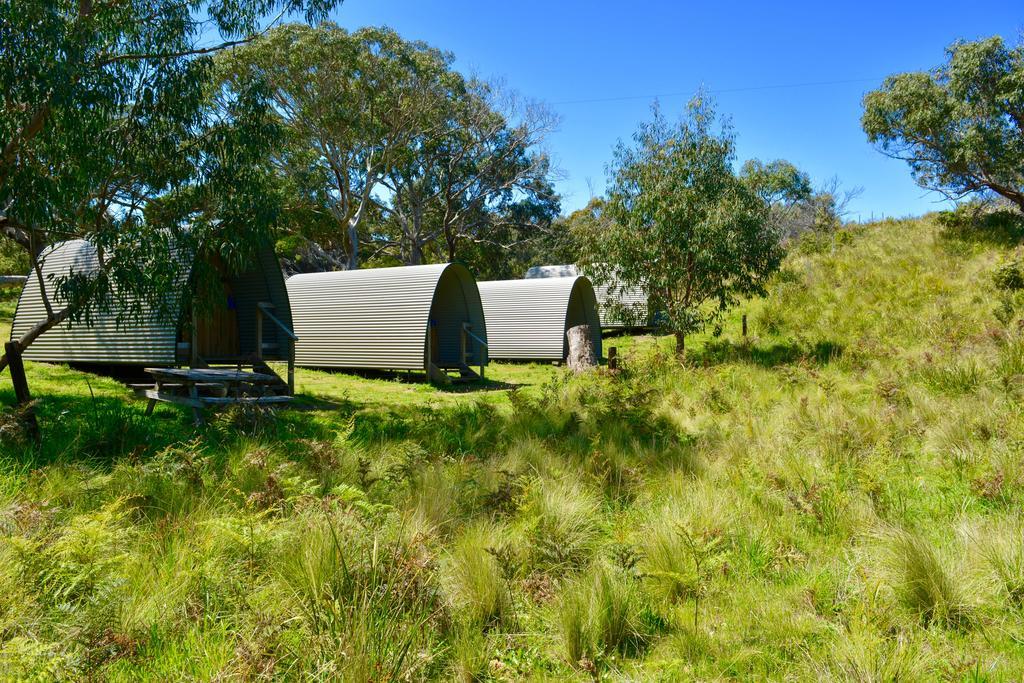 Bimbi Park - Camping Under Koalas Cape Otway Kültér fotó