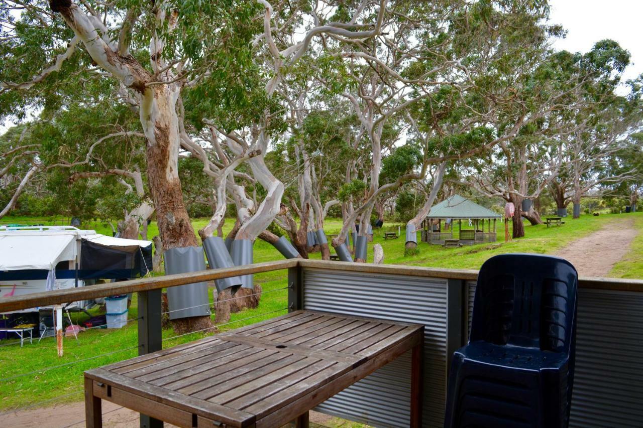 Bimbi Park - Camping Under Koalas Cape Otway Kültér fotó